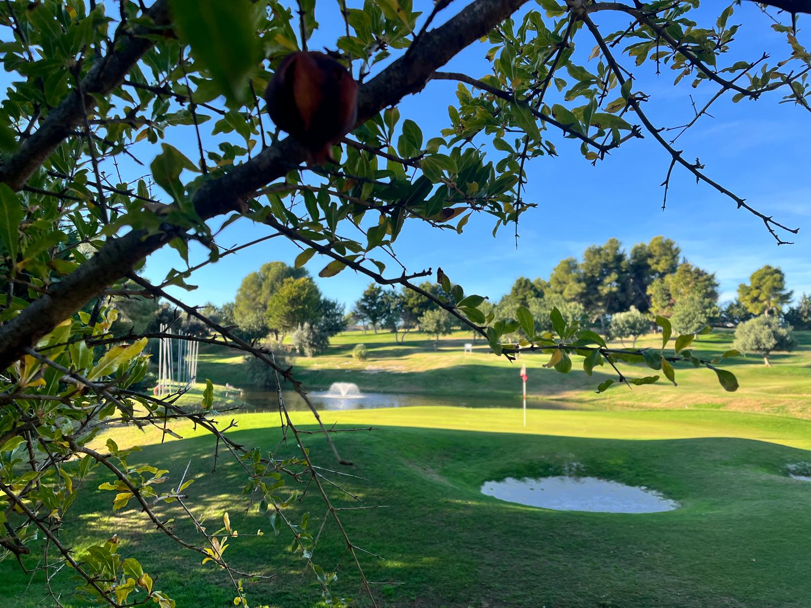 Sortides del Pitch&Plat de Portal del Roc